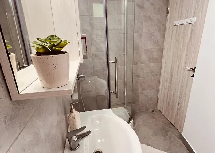 Charm 布加勒斯特